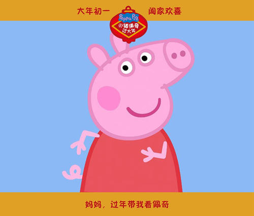 哪里可以办MOVO 现金报表